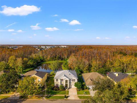 A home in LAND O LAKES