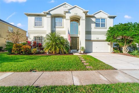 A home in LAND O LAKES