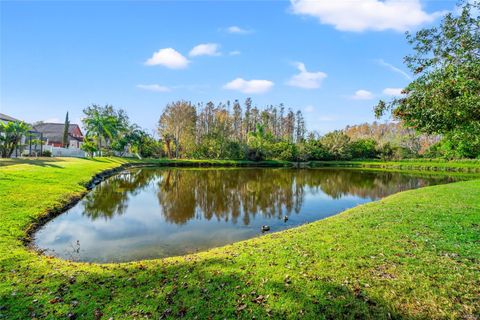 A home in LAND O LAKES