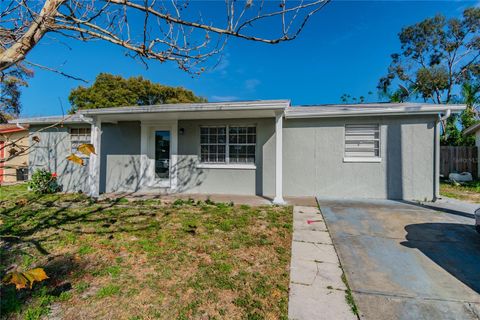 A home in PORT RICHEY