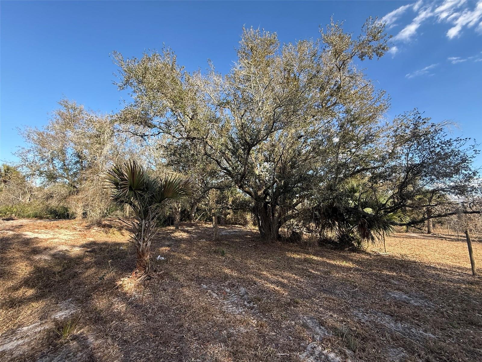 TRACT 28 - Residential