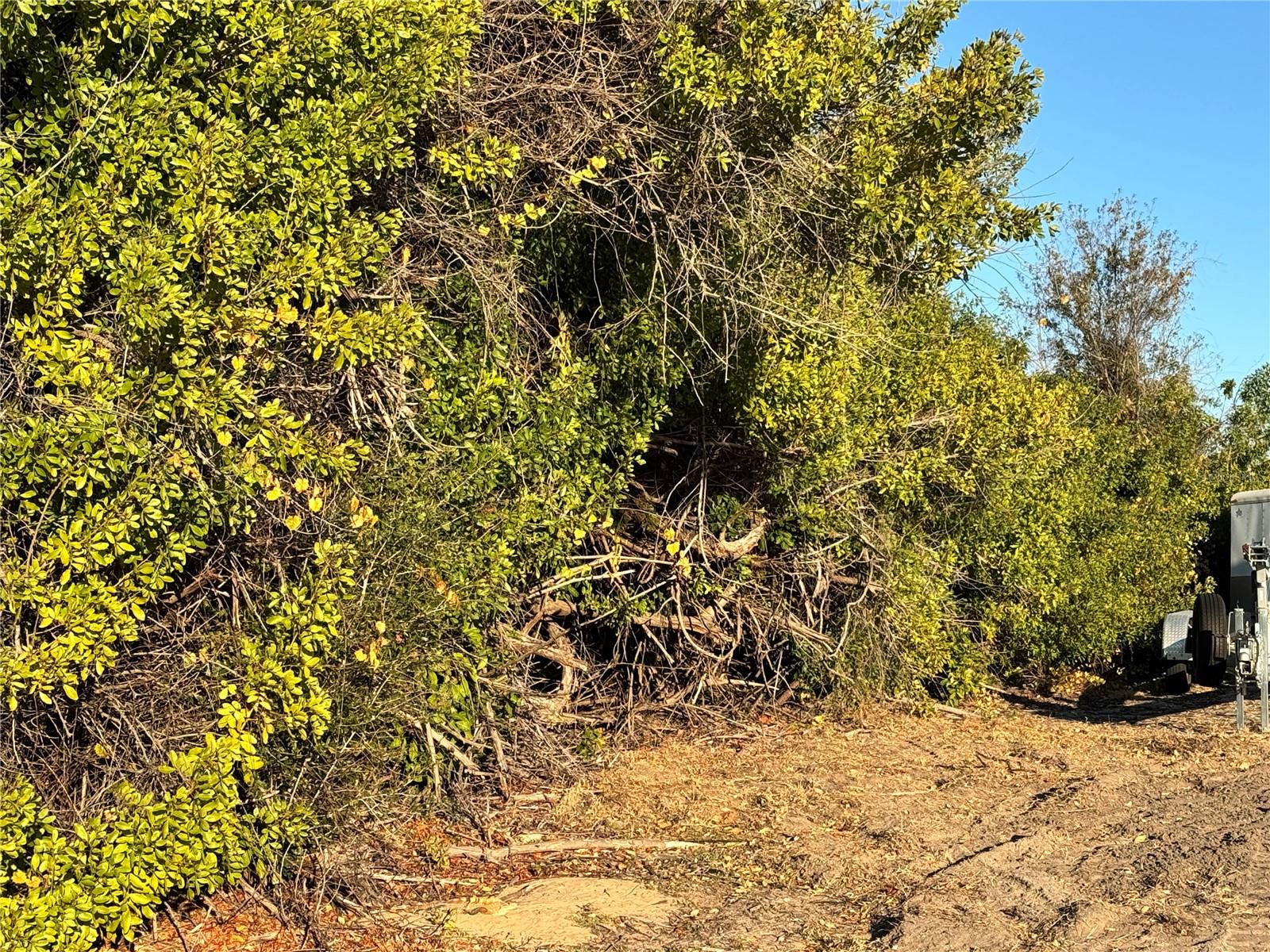 PORT CHARLOTTE SEC 065 - Land