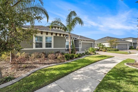 A home in RIVERVIEW