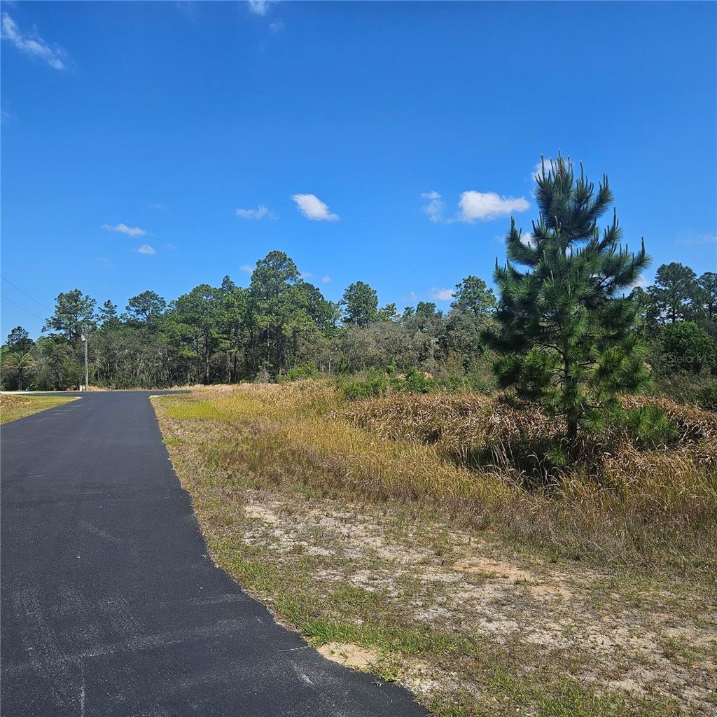 Photo of 1836 Hilochee Ridge Road, Clermont, FL 34714 (MLS # O6301710)
