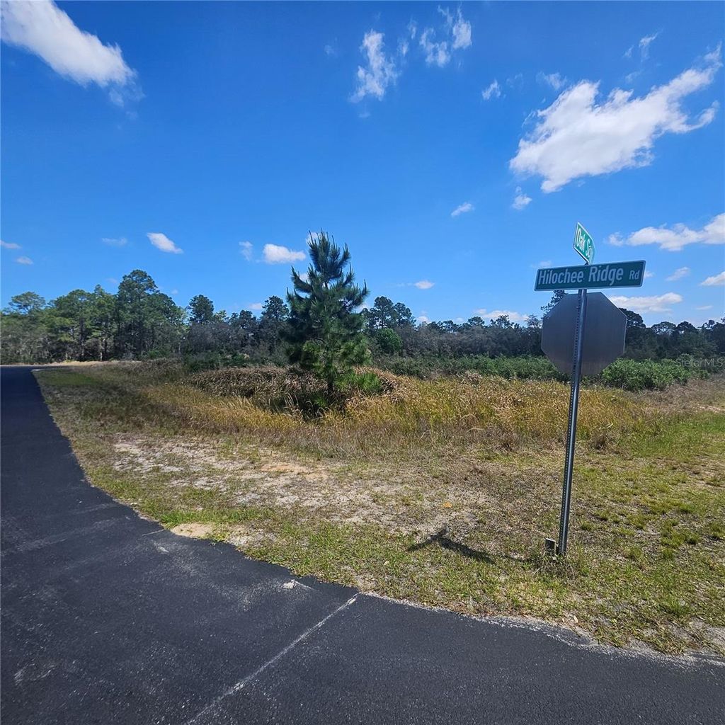 Photo of 1836 Hilochee Ridge Road, Clermont, FL 34714 (MLS # O6301710)
