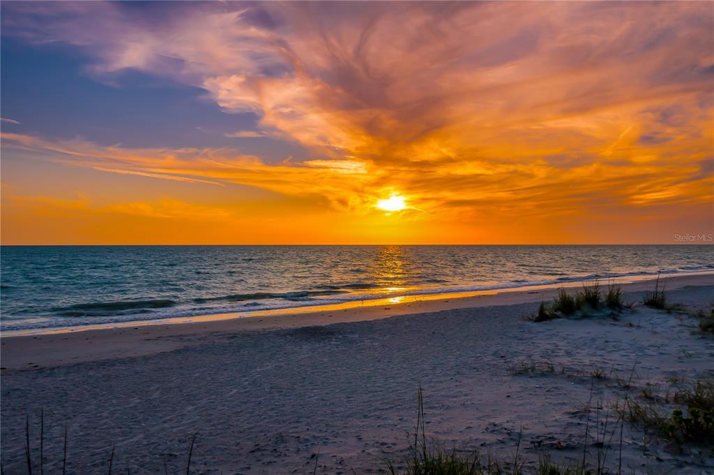 PALM ISLAND ESTATES UNIT 1 - Residential