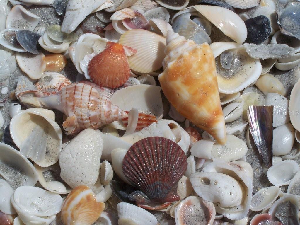 PALM ISLAND ESTATES UNIT 1 - Residential