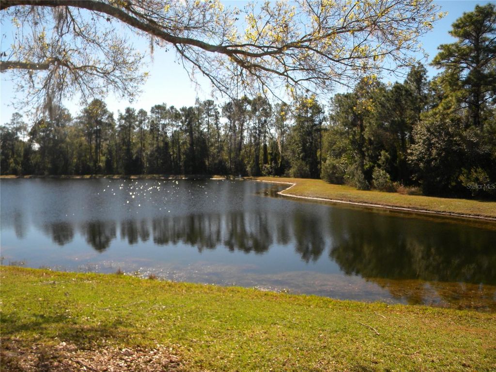 Photo of 1821 Corner Meadow Circle, Orlando, FL 32820 (MLS # O6375087)