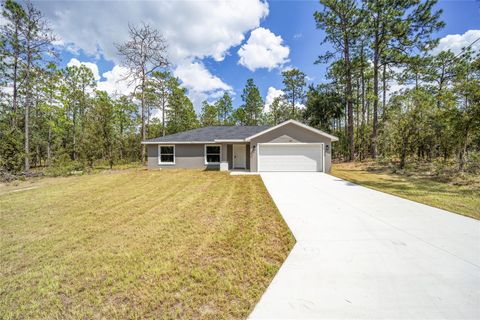 A home in DUNNELLON