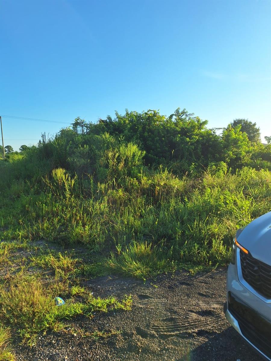 LEHIGH ACRES - Land