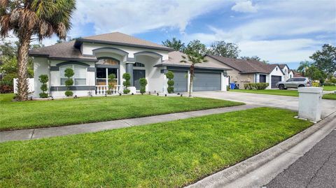 Photo of 3926 Northridge Drive, Valrico, FL 33596 (MLS # TB8417659)