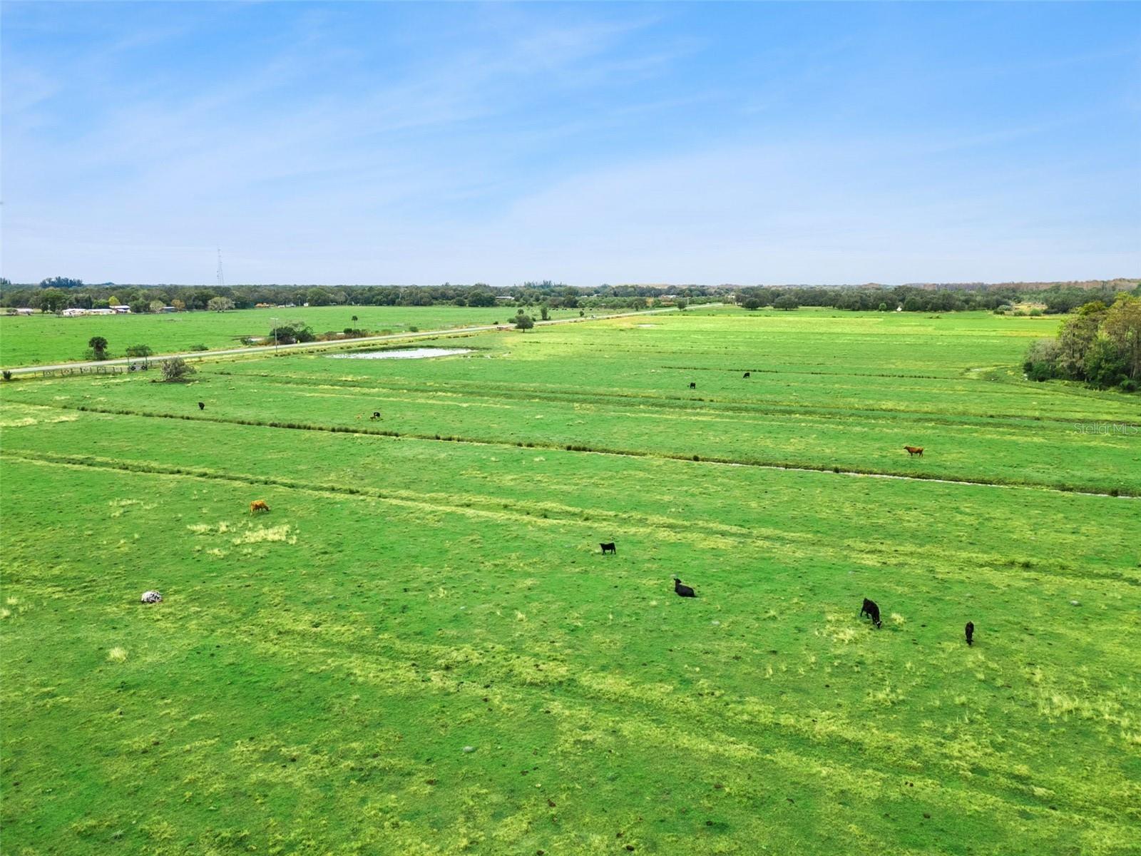 ACREAGE & UNREC - Land