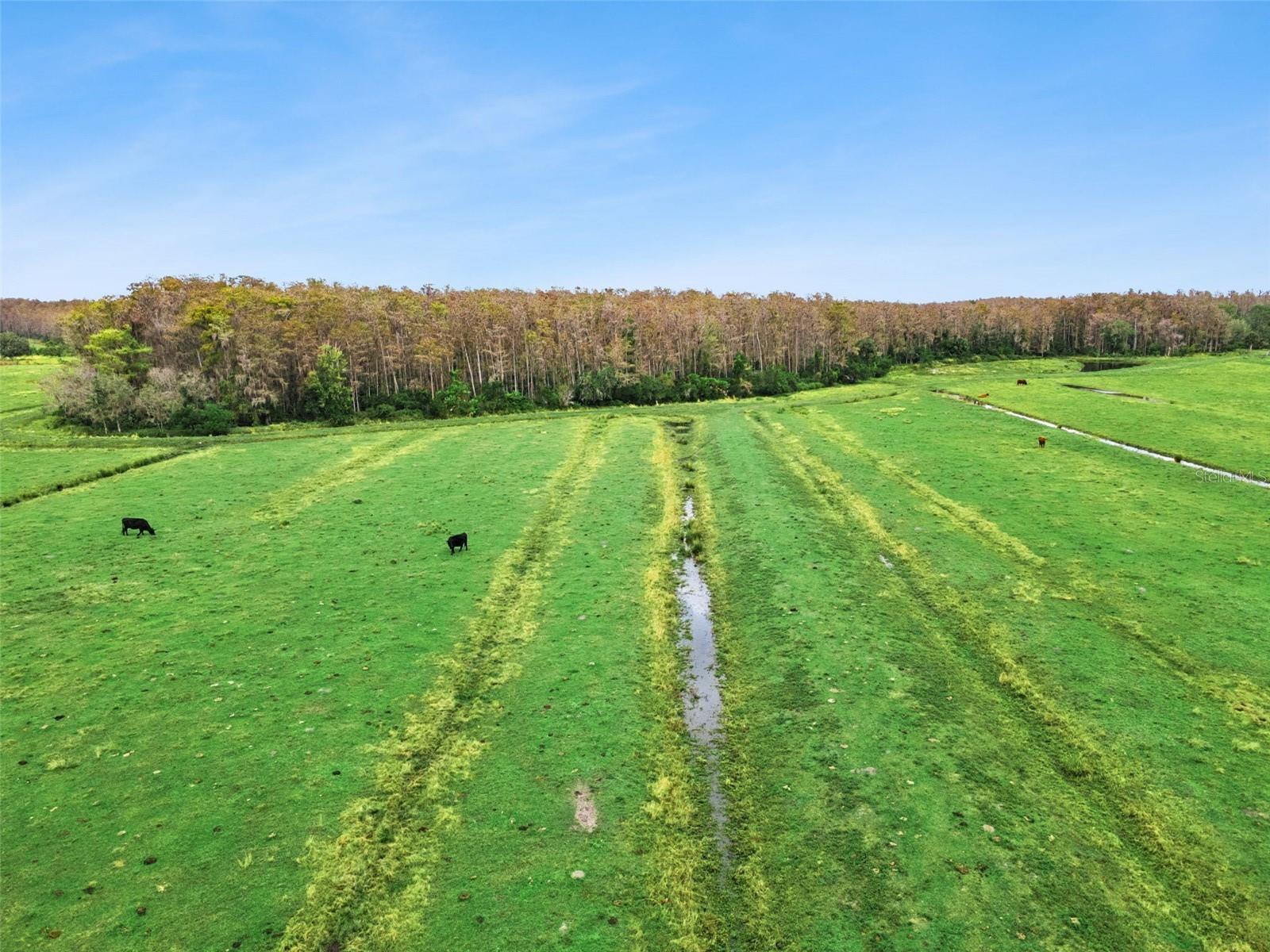 ACREAGE & UNREC - Land