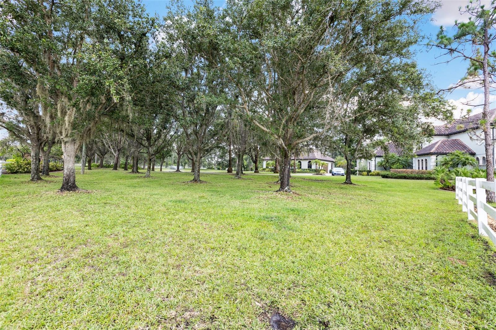 FOXWOOD AT PANTHER RIDGE - Residential