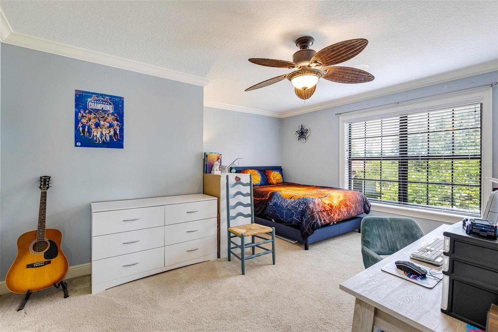 FOXWOOD AT PANTHER RIDGE - Residential