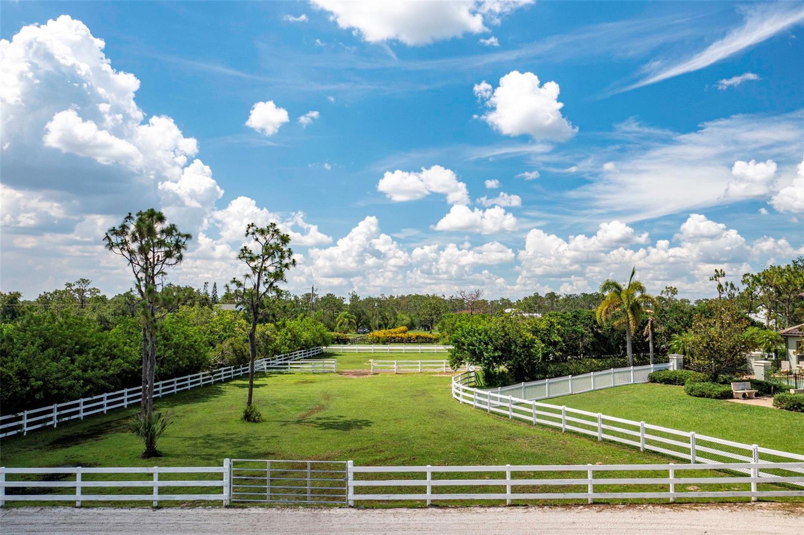 FOXWOOD AT PANTHER RIDGE - Residential