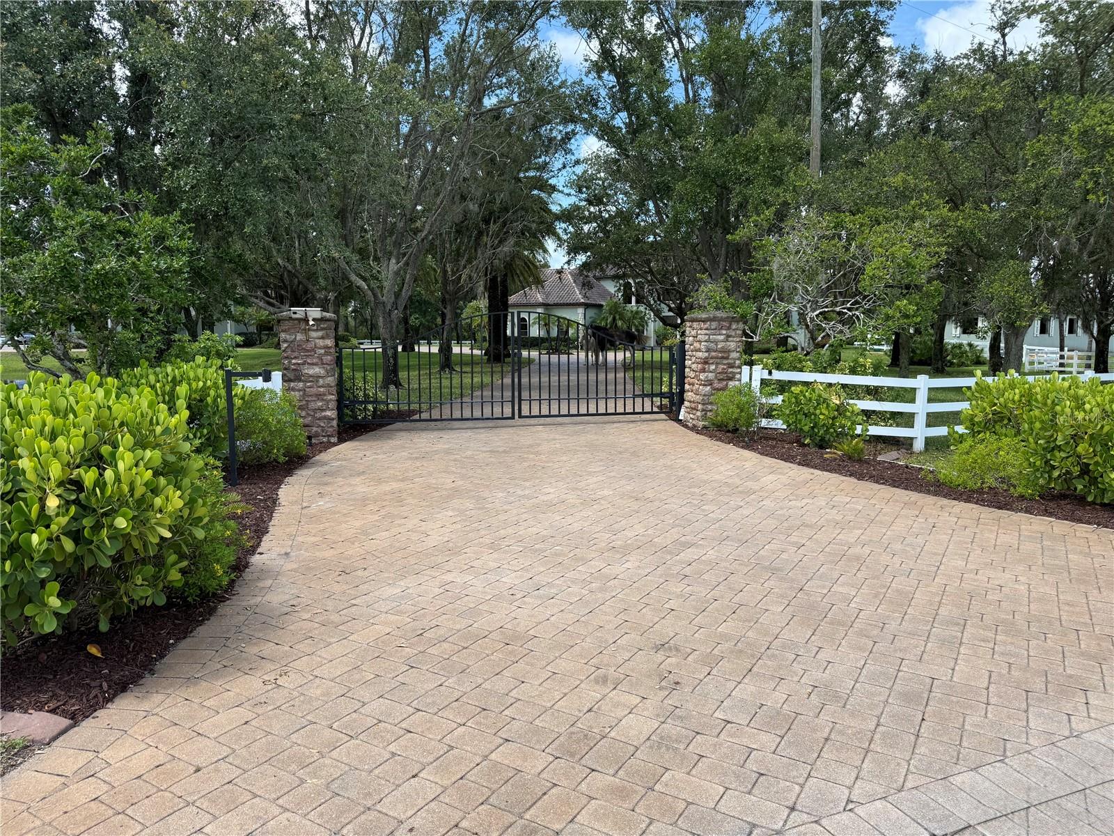 FOXWOOD AT PANTHER RIDGE - Residential