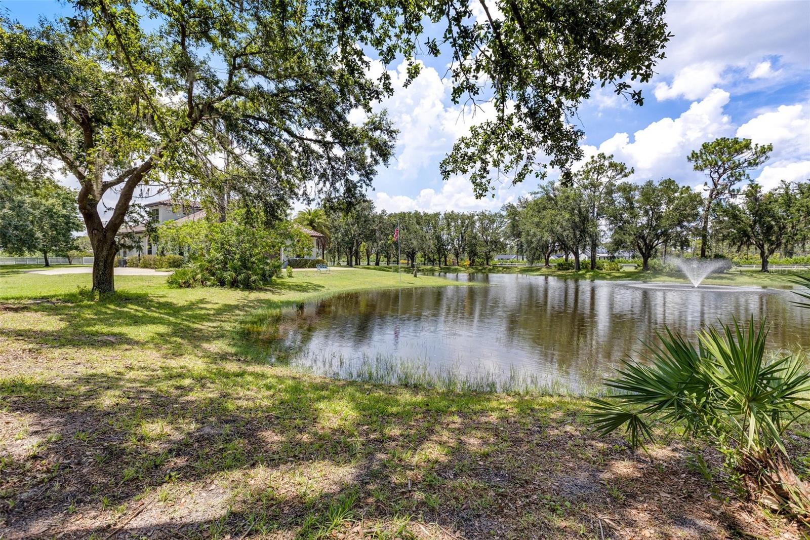 FOXWOOD AT PANTHER RIDGE - Residential