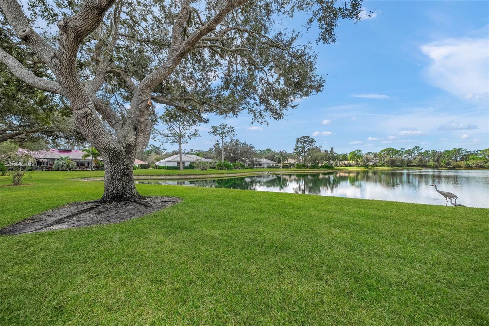 MISTY CREEK - Residential