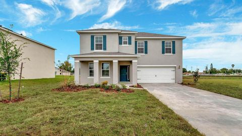 A home in MOUNT DORA