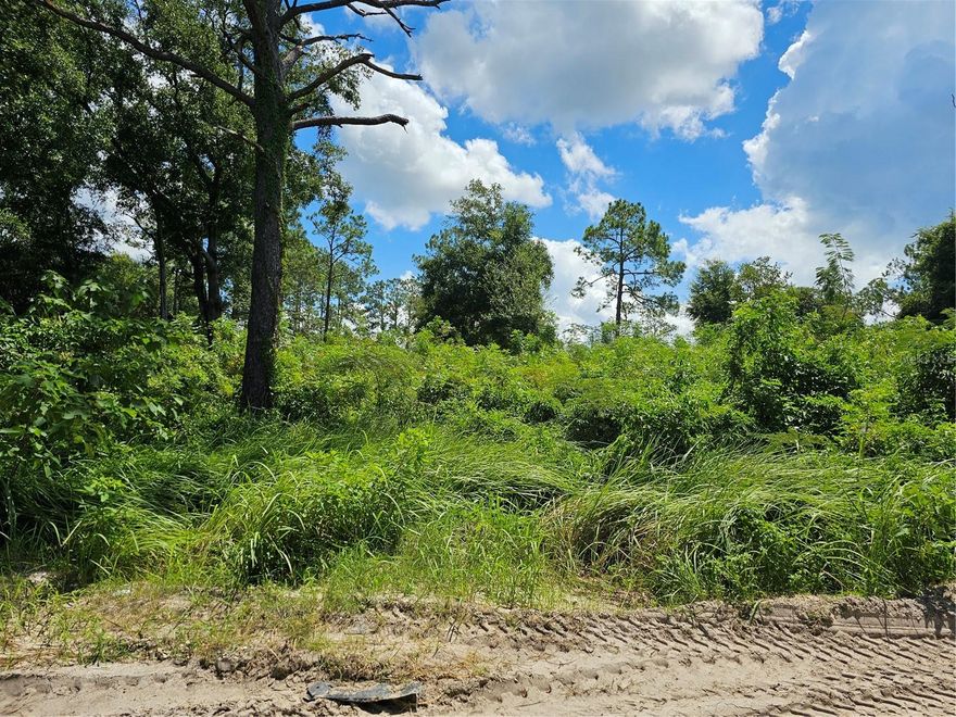 Perfect spot to build, or set your mobile home.  Look!  There are very few mature trees.  The savings in lot clearing alone makes this lot an absolute steal!  On a good section of dirt road,  just off of improved limestone, and very close to C 25 --  your connection to Baseline (Ocala), Belleview, and 441.  Come see it and make it yours today!