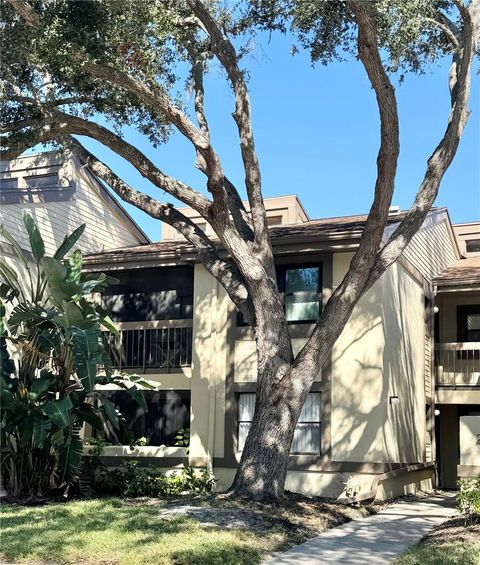 247 WOODLAKE WYNDE OLDSMAR FL 34677