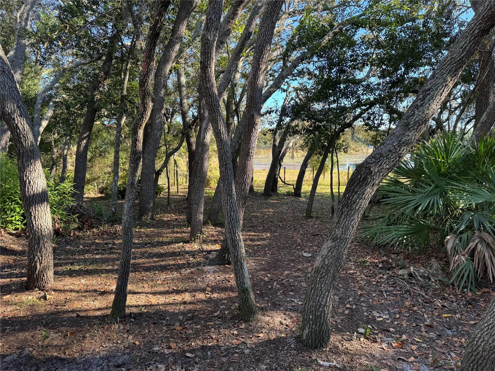 COLONY VILLAGE - Residential