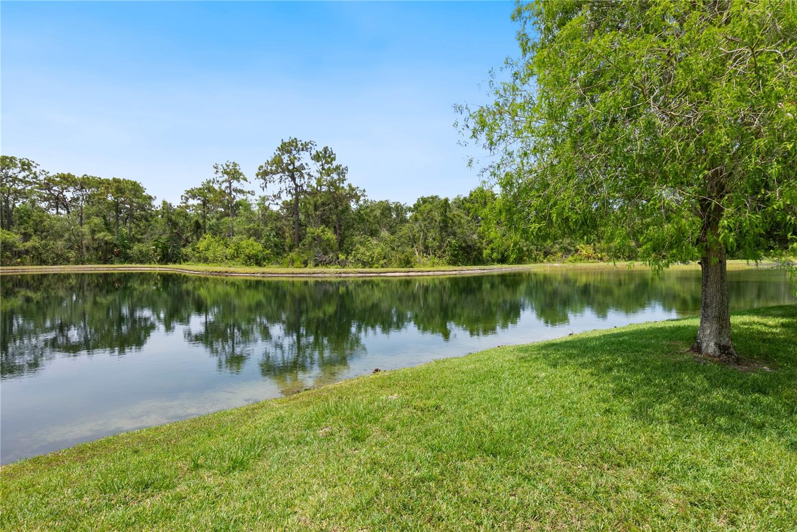 THE VILLAGE AT TOWNPARK - Residential