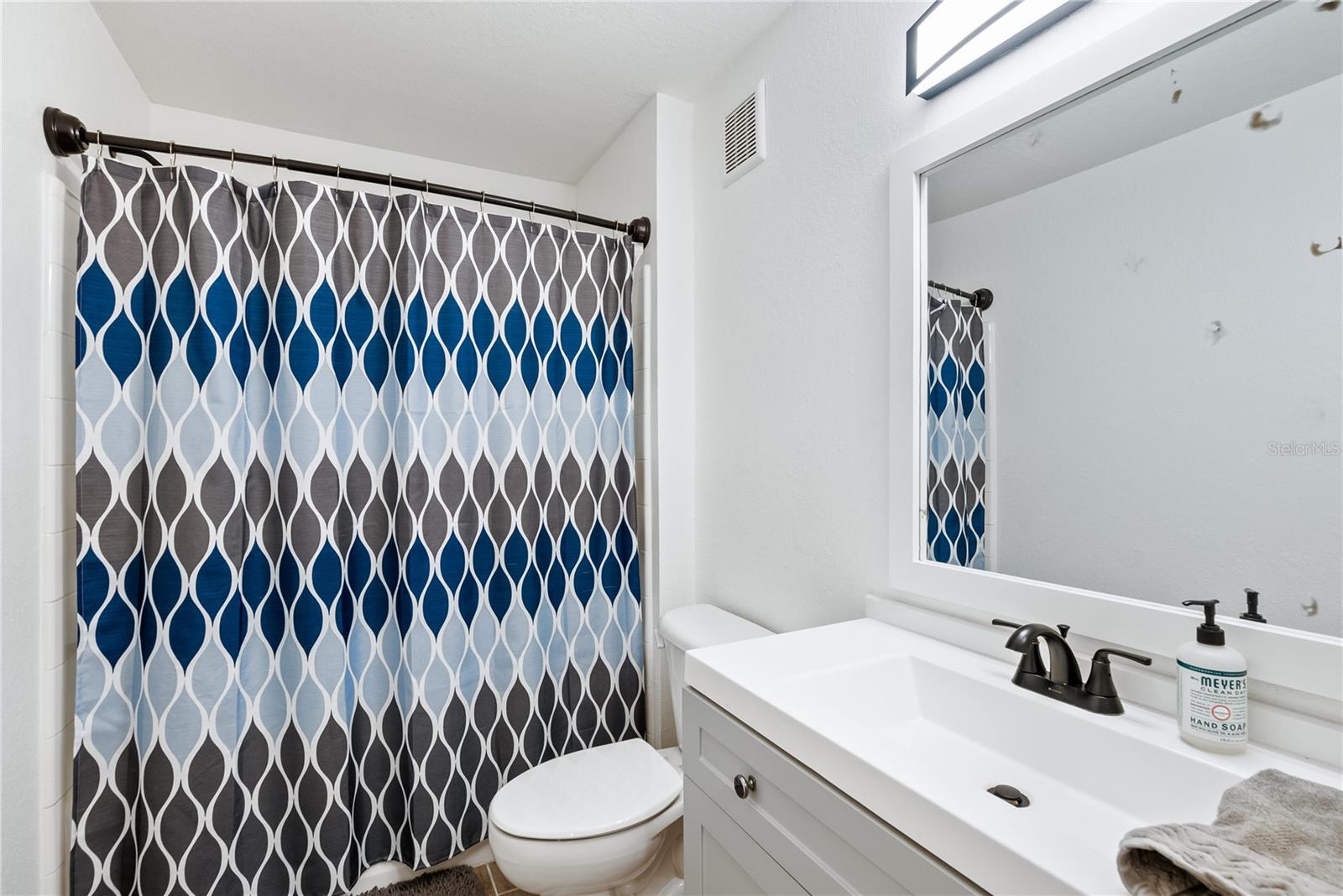 THE VILLAGE AT TOWNPARK - Residential