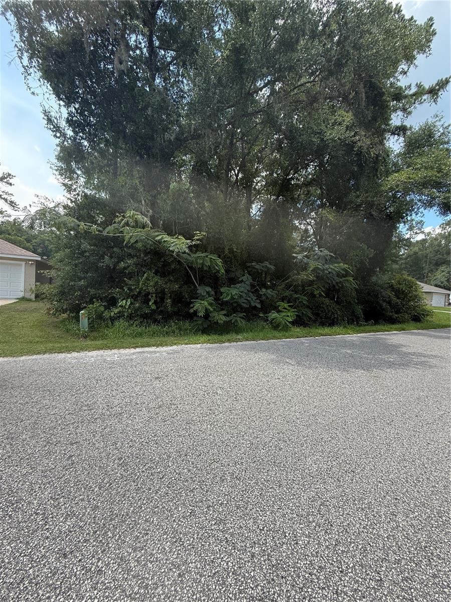 Come and see this beautiful lot that is located in between two existing homes in the north of Ocala just 15 minutes from Gainesville FL.