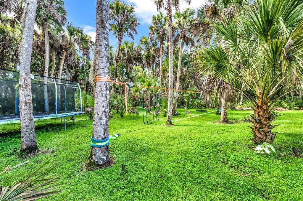 FOREST AT THE HI HAT RANCH - Residential