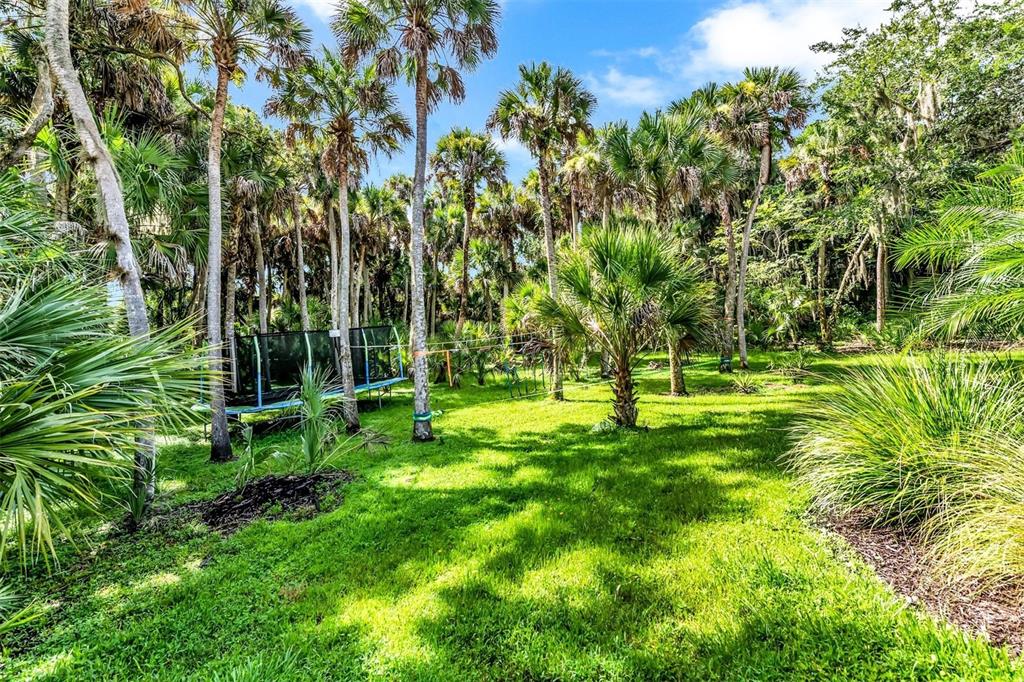 FOREST AT THE HI HAT RANCH - Residential