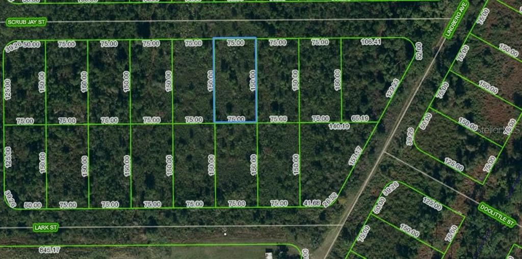 Photo of 1431 Scrub Jay Street, Lake Placid, FL 33852 (MLS # OM624748)