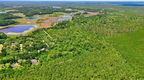 Tiny photo for 16050 SE 275th Avenue, Umatilla, FL 32784 (MLS # G5111748)