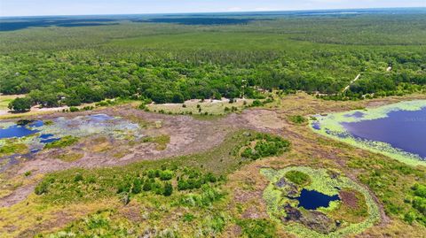 Tiny photo for 16050 SE 275th Avenue, Umatilla, FL 32784 (MLS # G5111748)