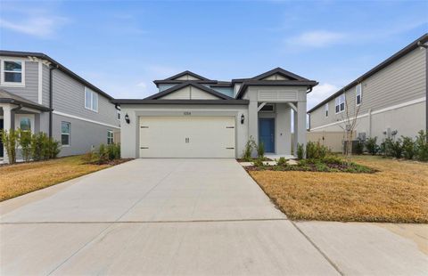 1054 KISTNA DRIVE ZEPHYRHILLS FL 33540