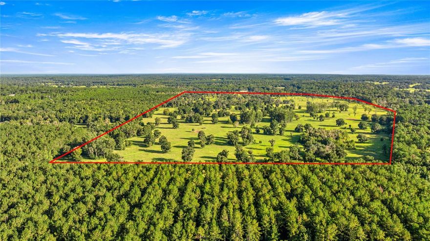 200 ACRES-NORTH HWY 329, MARION COUNTY

Prime 200-acre tract on desirable North HWY 329, perimeter fenced and ideal for an equestrian estate or future investment. Excellent location near The Jockey Club, Gainesville, Ocala, WEC and HITS.
Whether you are envisioning a private equestrian haven or a future investment opportunity, this acreage combines location, scale, and potential in a way rarely available in the heart of horse country.