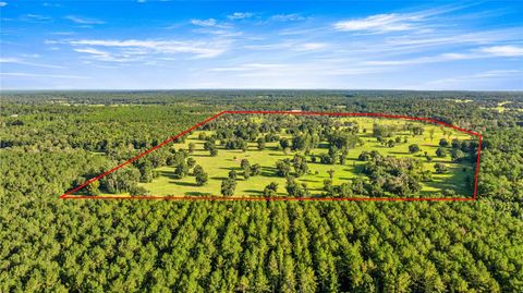 Photo of 17748 N Hwy 329, Reddick, FL 32686 (MLS # OM710603)
