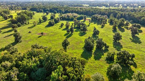 Tiny photo for 17748 N Hwy 329, Reddick, FL 32686 (MLS # OM710603)