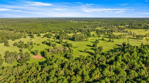 Tiny photo for 17748 N Hwy 329, Reddick, FL 32686 (MLS # OM710603)