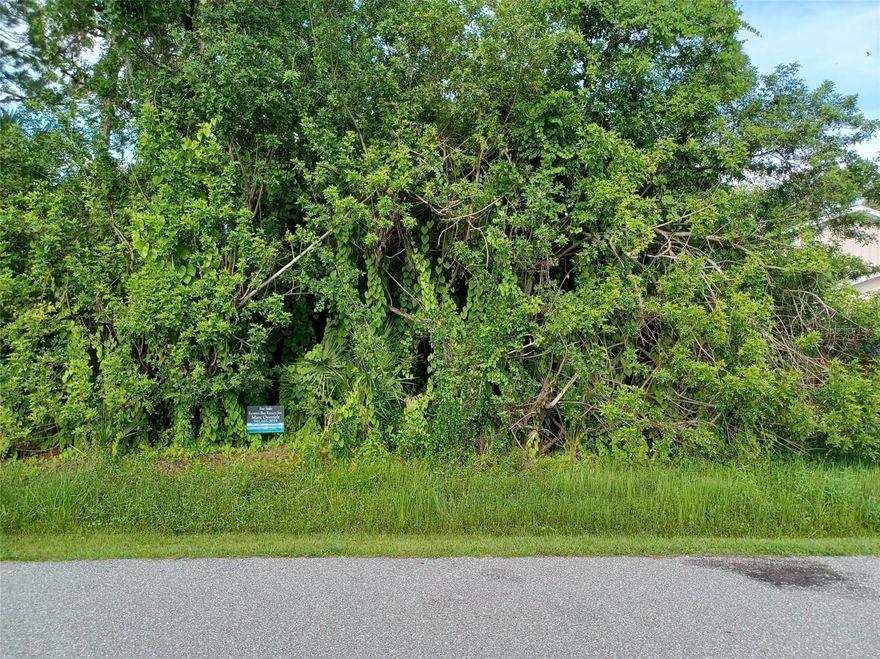 BUILDABLE LOT IN GULF COVE, A RIVER FRONT COMMUNITY. Gulf Cove is a friendly community located in Charlotte County, Florida on the banks of the scenic Myakka River with direct boating access to Charlotte Harbor and the Gulf of Mexico. Plenty of room for your dream home. This buildable lot has city water! Close to Englewood Beach, shopping, and 20 minutes to the fishing capital of the world "Boca Grande"! For a small annual fee, you have access to the private community boat ramp and park just minutes away. All information provided is deemed reliable, but is not guaranteed and should be independently verified by the appropriate authority or qualified individuals. Buyers and their agents have the responsibility to do their due diligence to verify all information, zoning and building codes and/or any environmental regulation that may or may not exist.