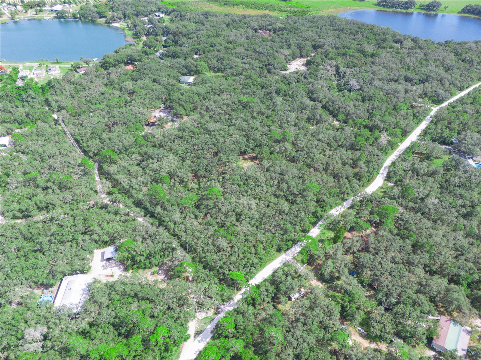 TIGER CREEK FOREST - Land