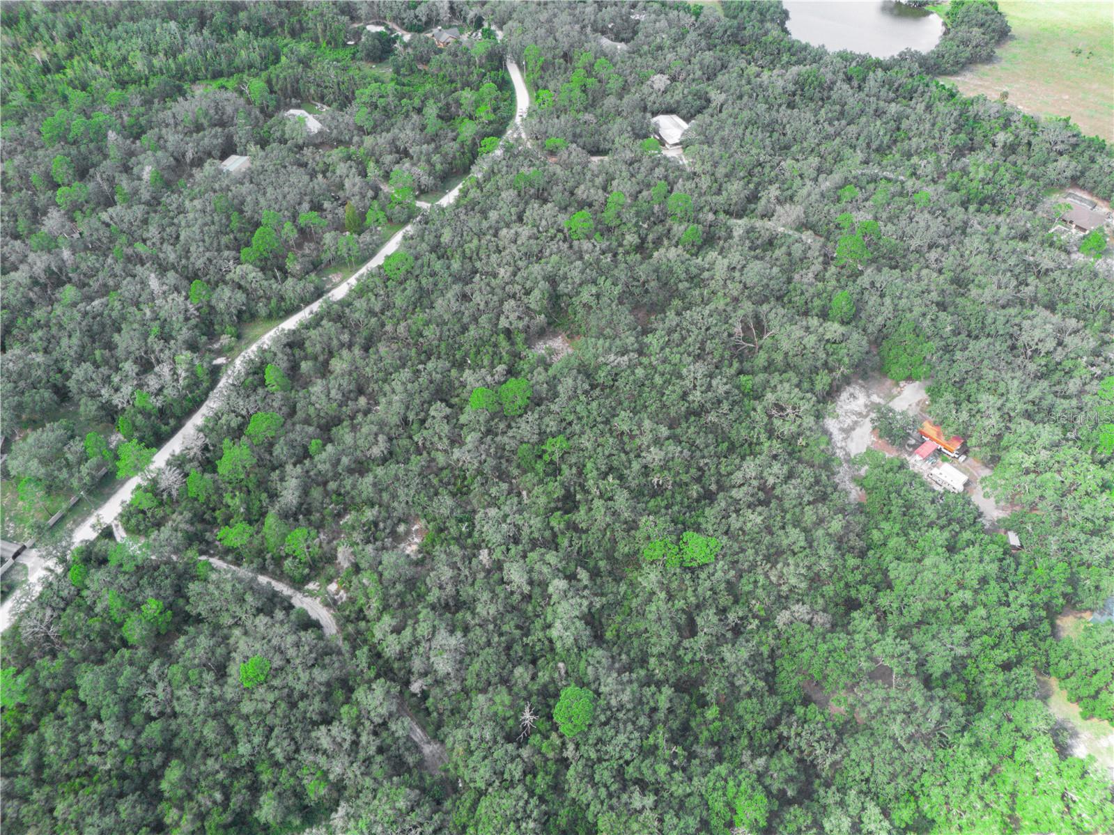 TIGER CREEK FOREST - Land