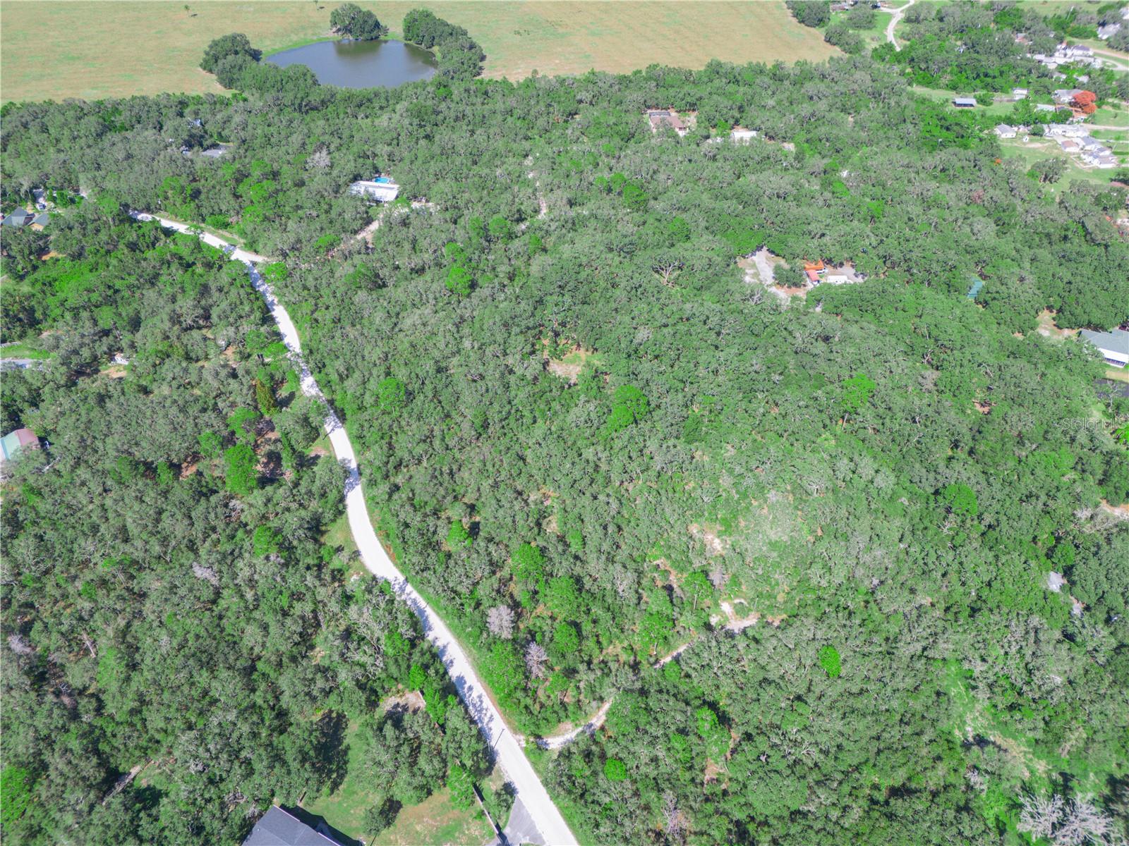 TIGER CREEK FOREST - Land