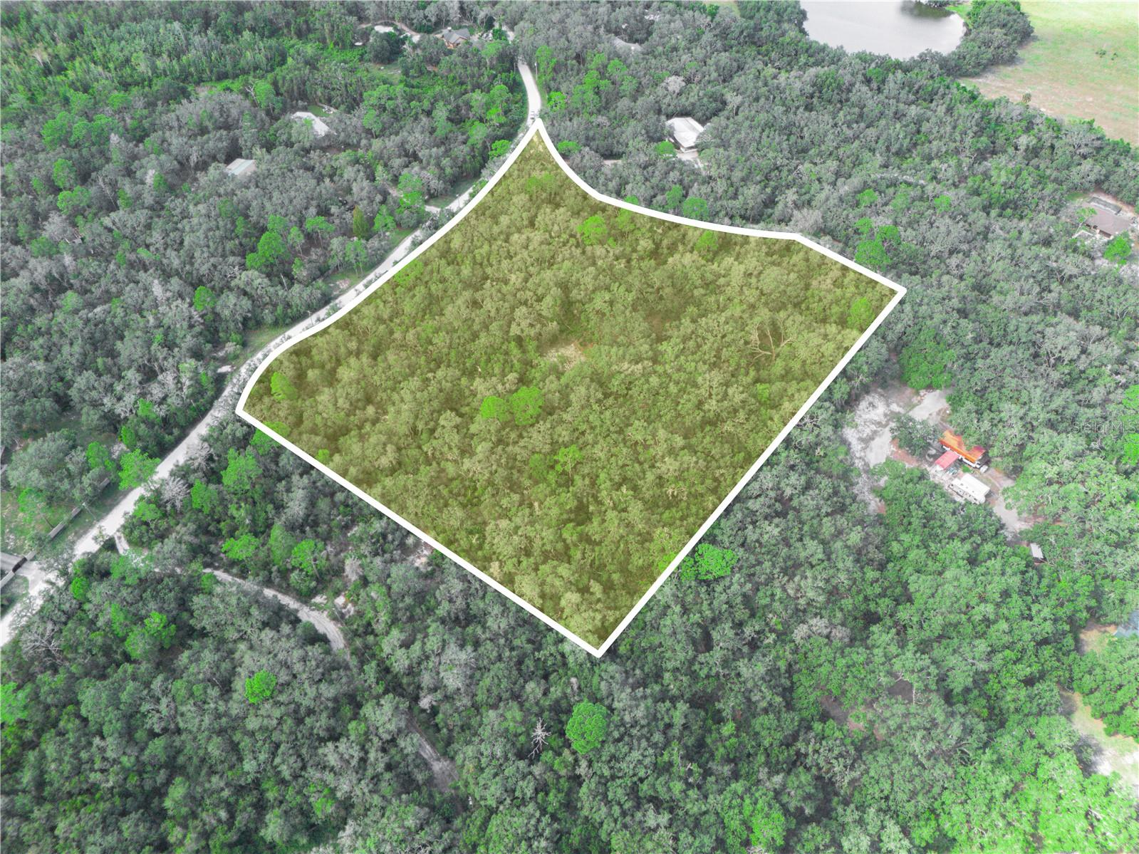 TIGER CREEK FOREST - Land