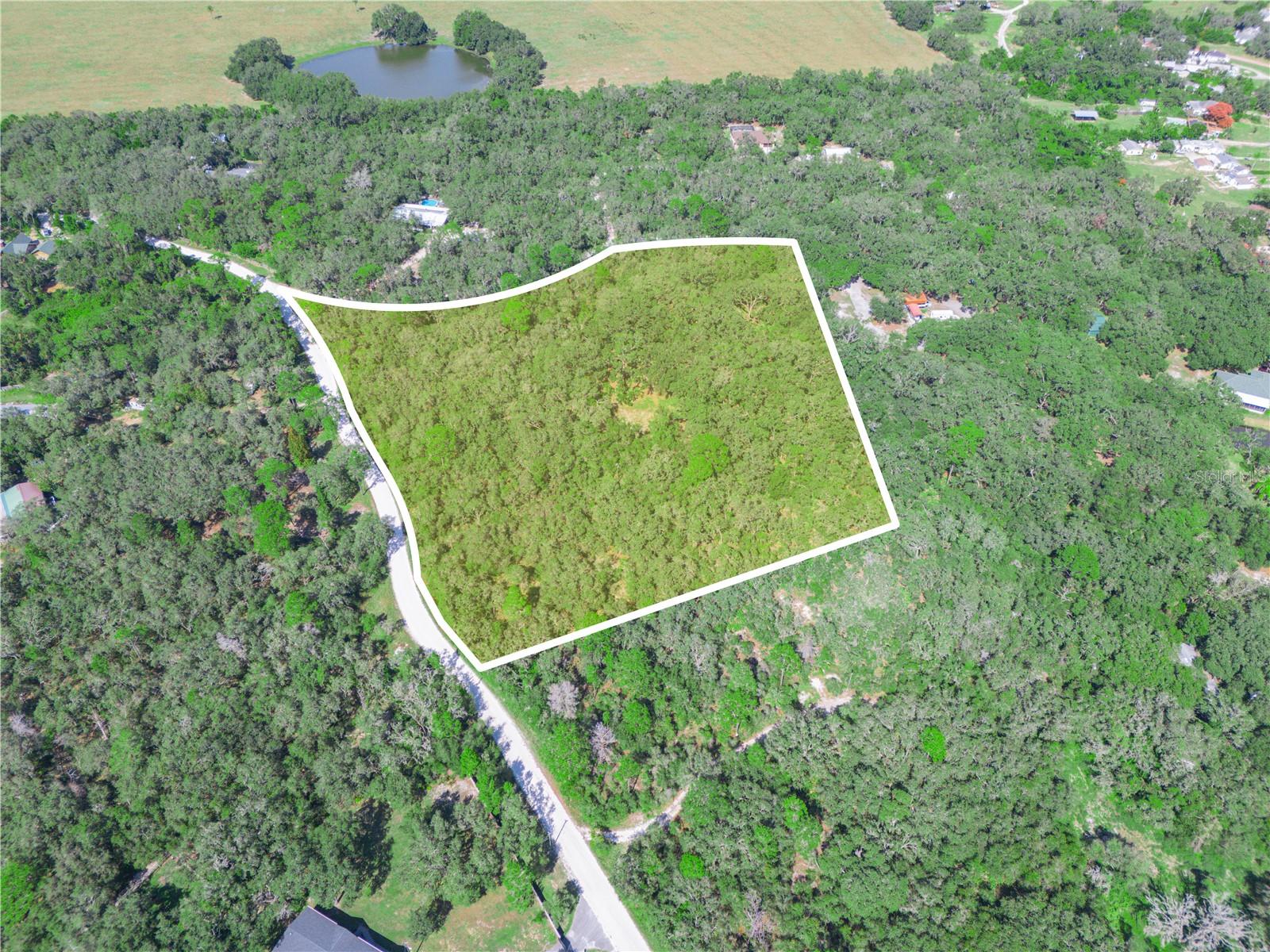 TIGER CREEK FOREST - Land