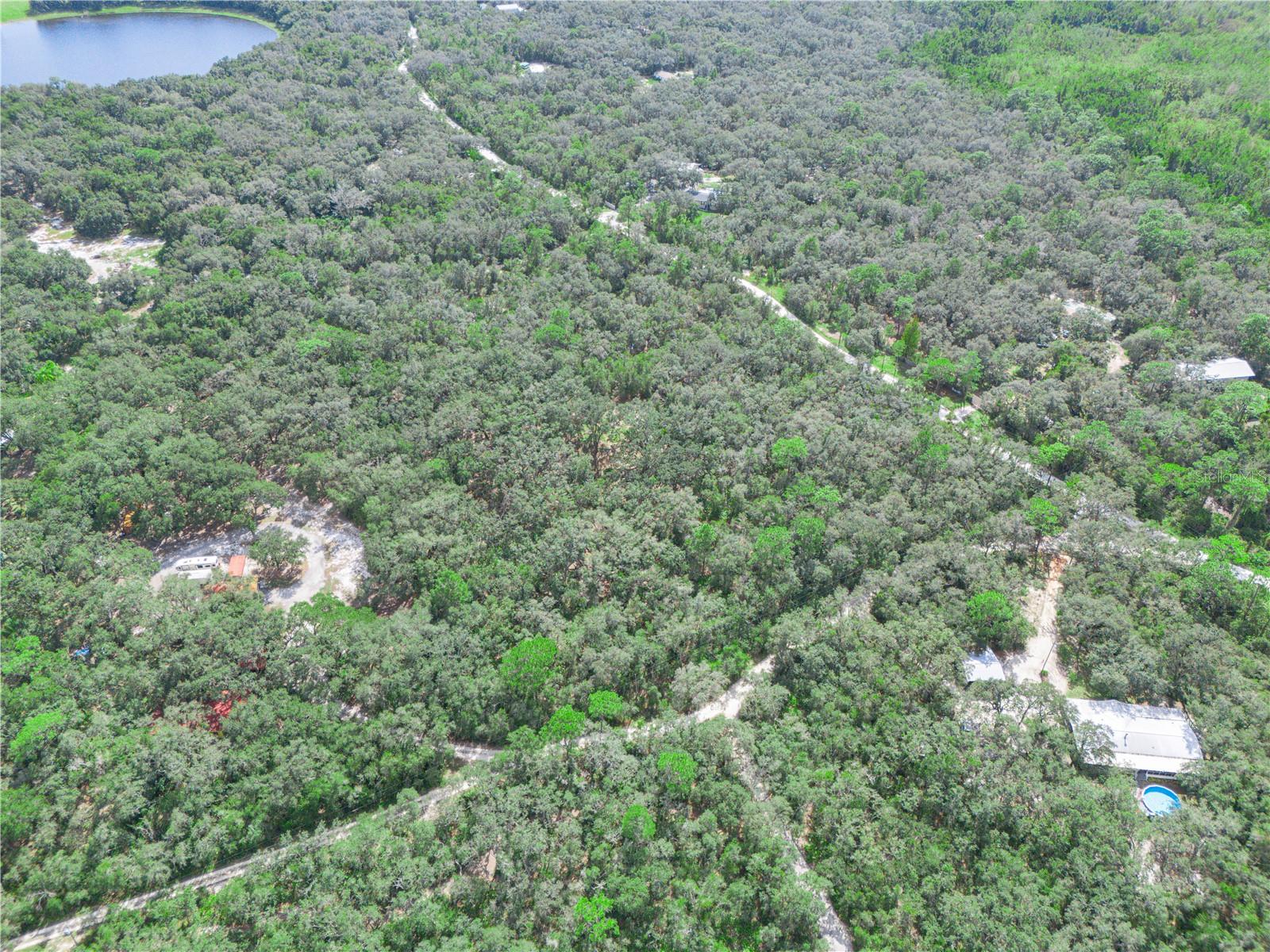 TIGER CREEK FOREST - Land