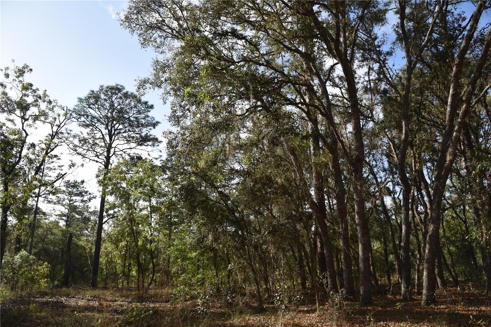 RAINBOW FARMS - Land