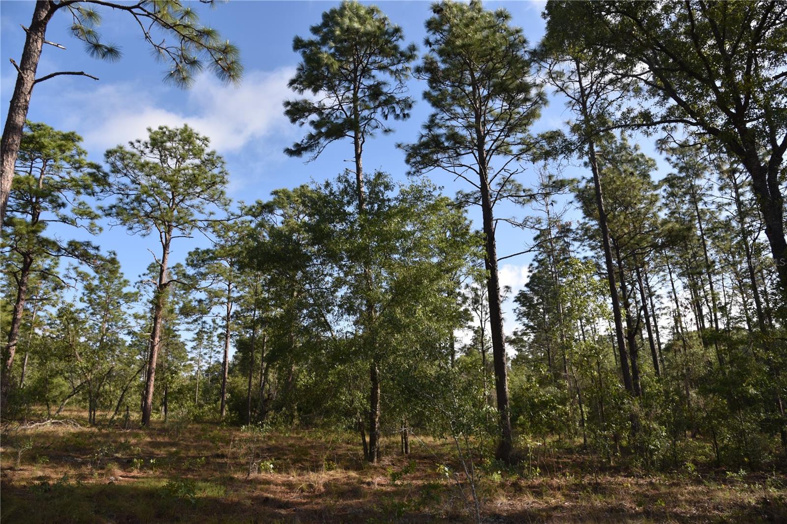 RAINBOW FARMS - Land