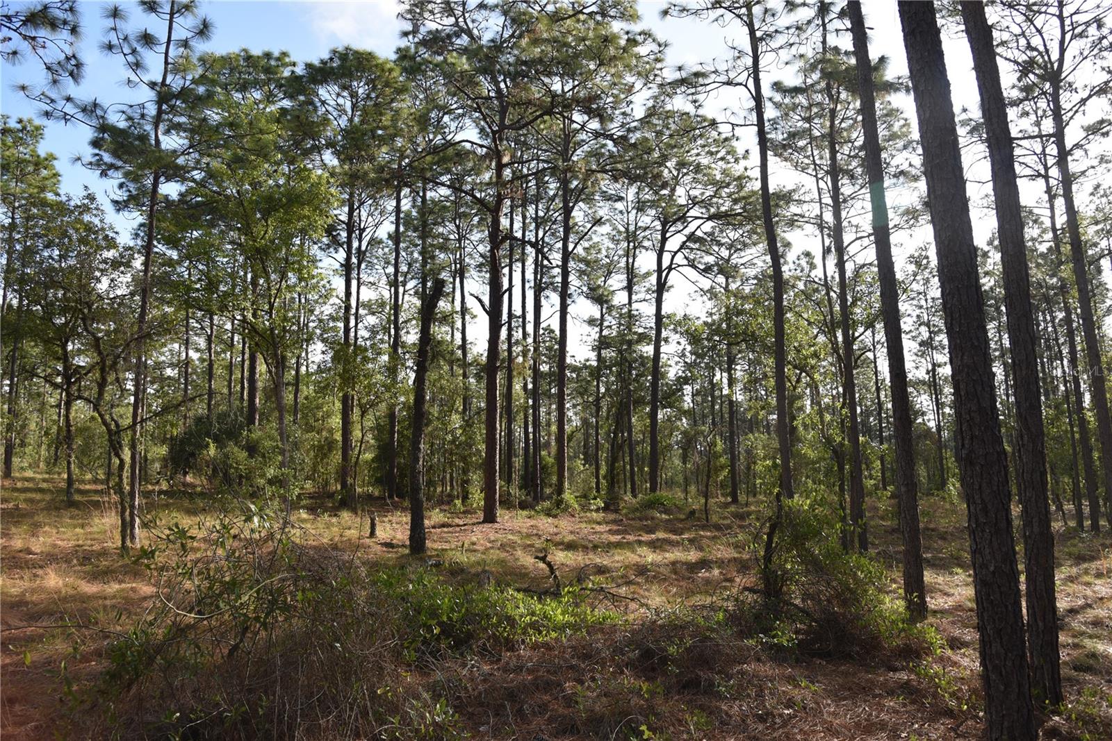 RAINBOW FARMS - Land